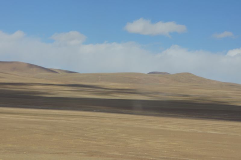 DSC00085.jpg