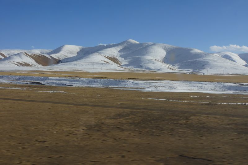 DSC00086.jpg