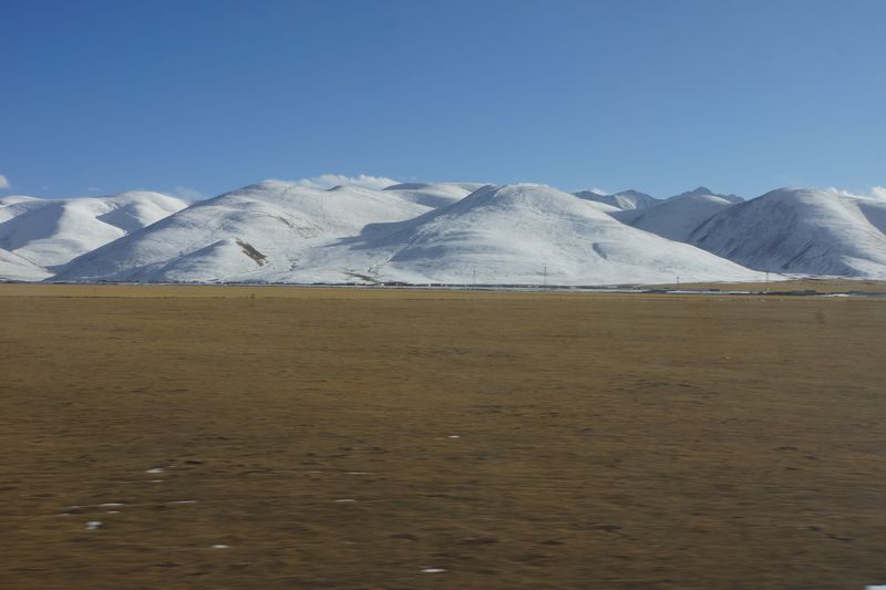 DSC00089.jpg