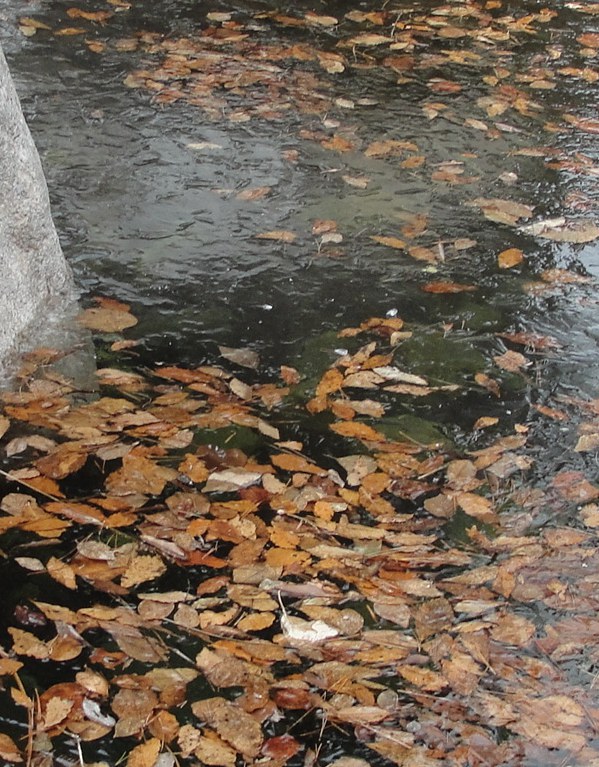 DSC02969_副本_副本.jpg