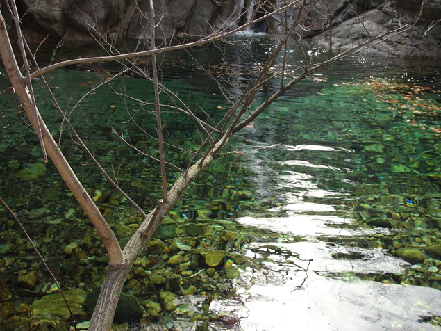 DSC02986_副本.jpg