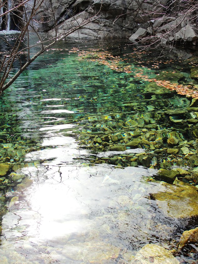 DSC02994_副本_副本.jpg