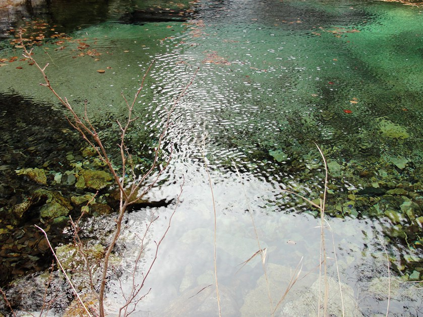 DSC02997_副本.jpg