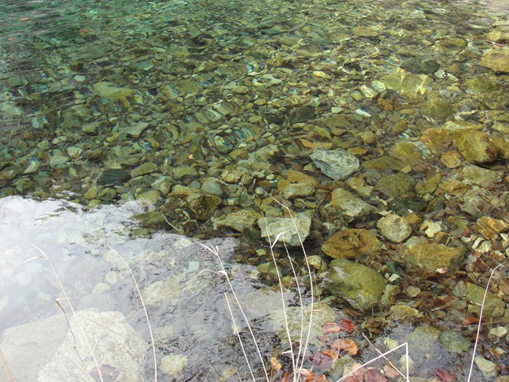 DSC03001_副本_副本.jpg