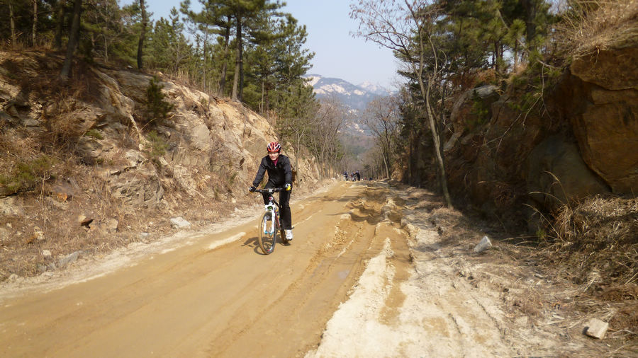 P1110353.jpg