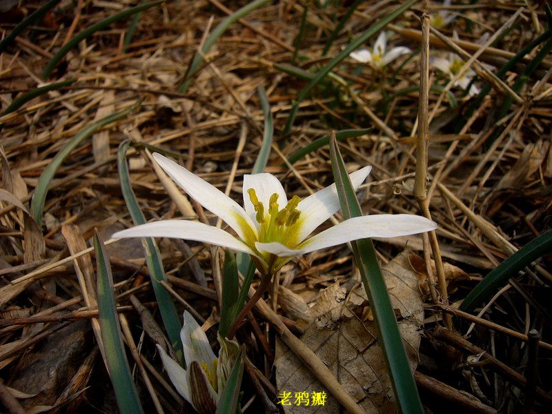 P1220538_缩小大小.JPG