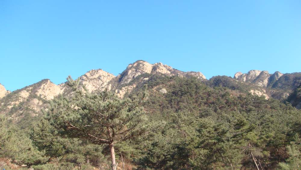 DSC05771.jpg