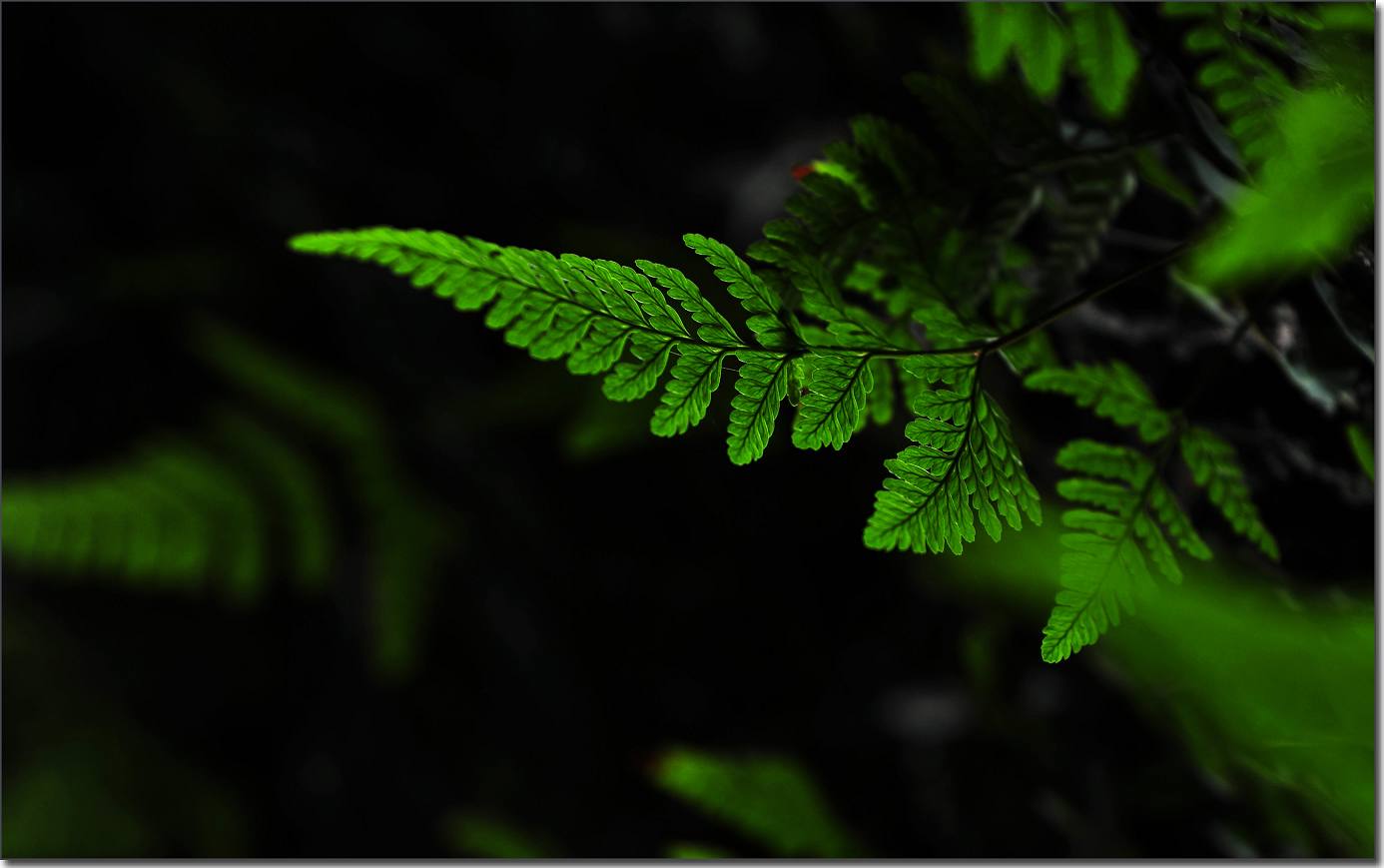 雁荡-厦门行 177.jpg
