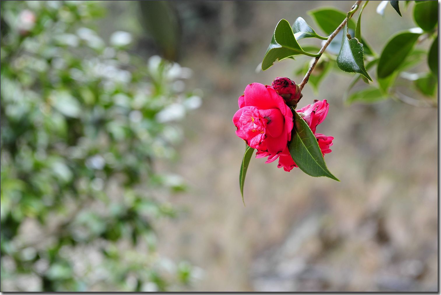 雁荡-厦门行 008.jpg