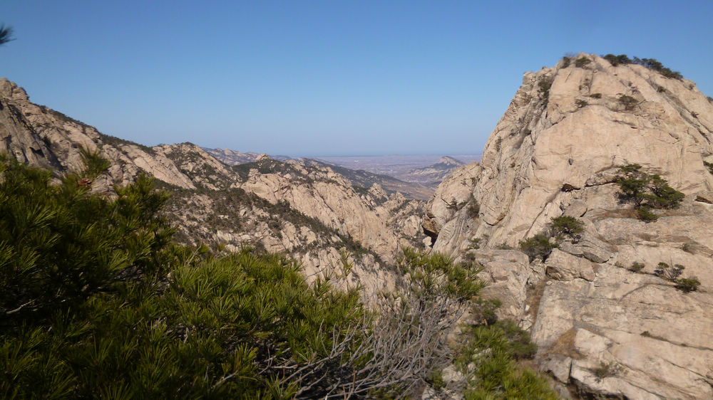 P1110524.jpg