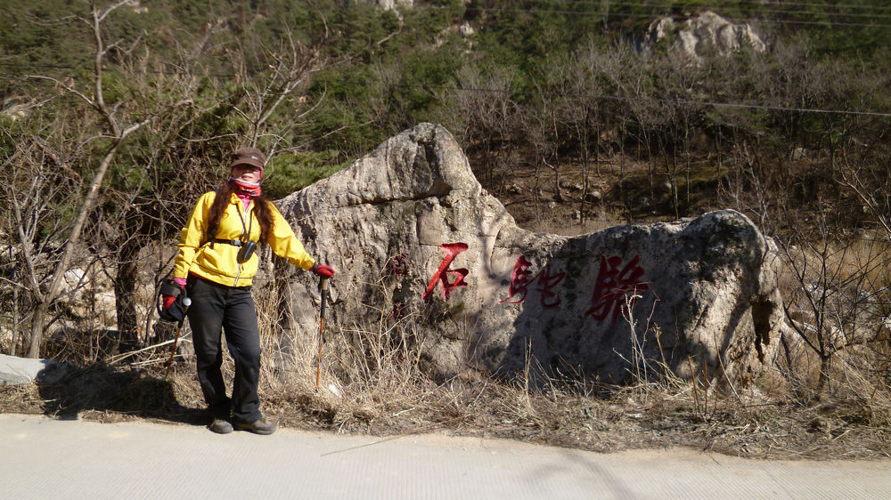 P1110539.jpg