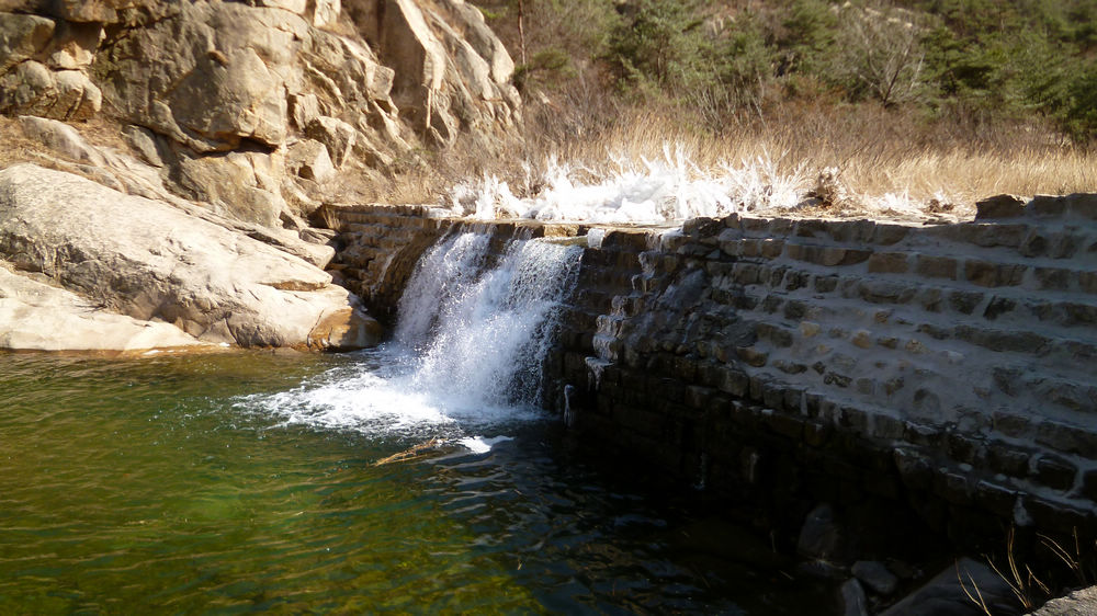 P1110565.jpg