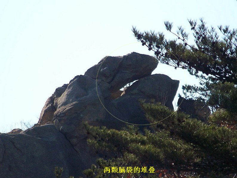 122_6593_缩小大小.JPG