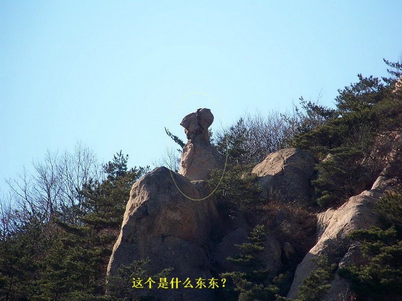 122_6595_缩小大小.JPG