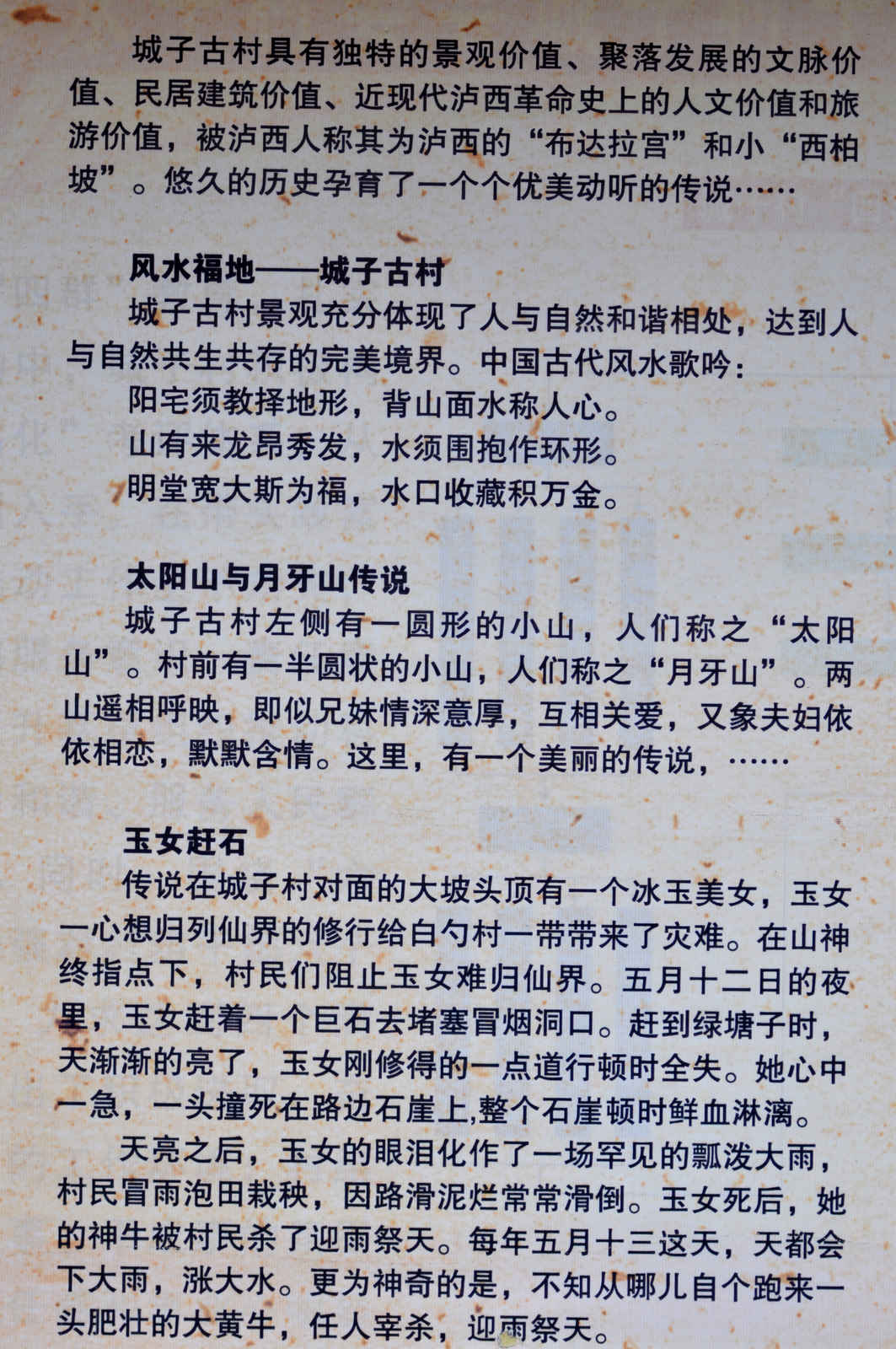 照片 1180.jpg