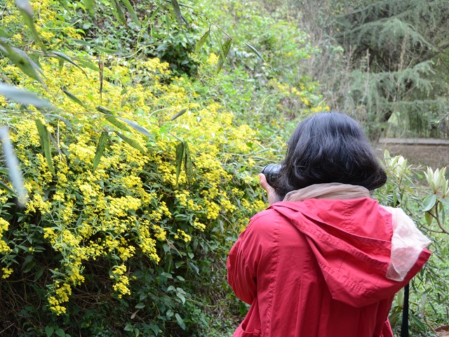 PhotoCap_232.jpg