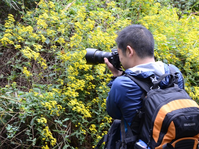 PhotoCap_235.jpg