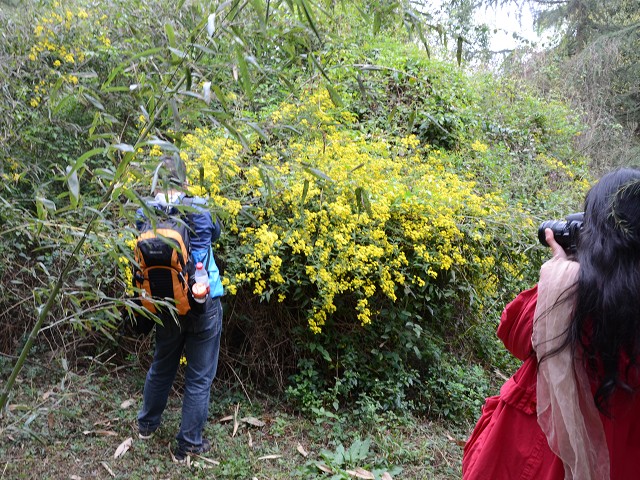 PhotoCap_236.jpg