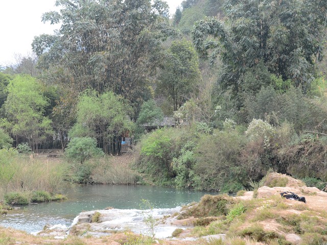 PhotoCap_323.jpg