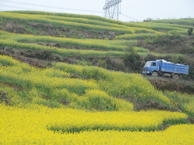 PhotoCap_485.jpg