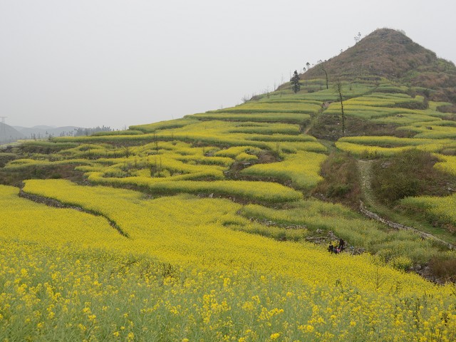 PhotoCap_442.jpg