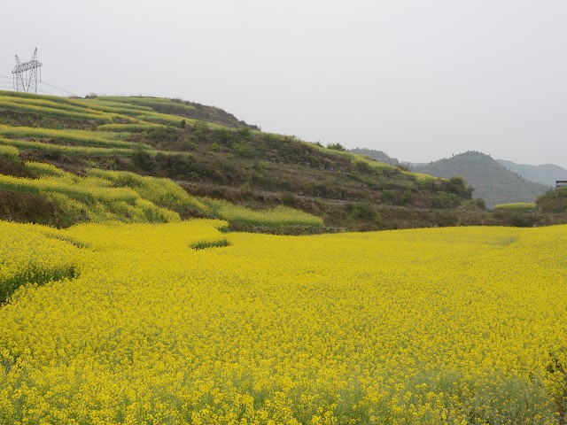 PhotoCap_448.jpg