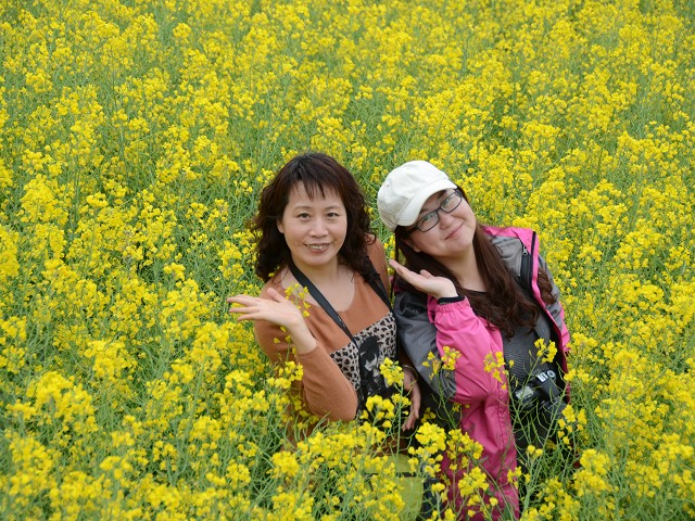 PhotoCap_478.jpg
