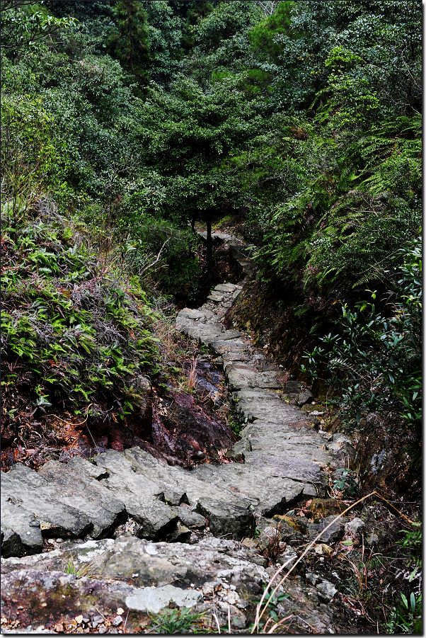 雁荡-厦门行 245.jpg