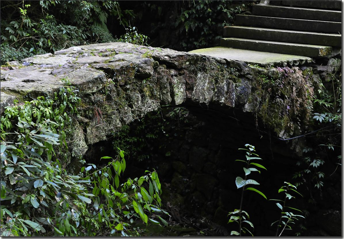 雁荡-厦门行 275.jpg