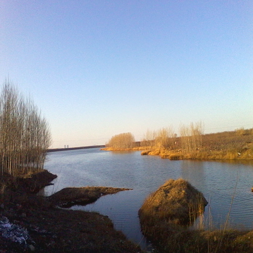 IMG_20130310_164958.jpg