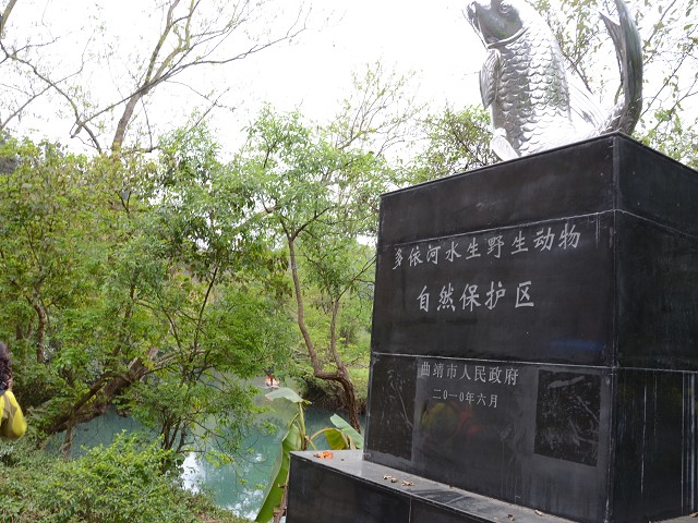 PhotoCap_543.jpg