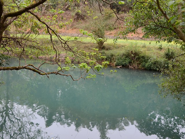 PhotoCap_553.jpg
