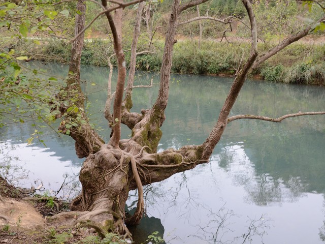PhotoCap_554.jpg