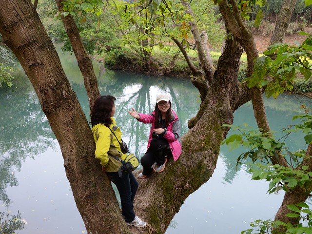 PhotoCap_550.jpg