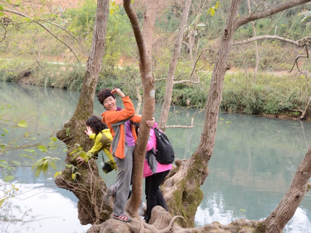 PhotoCap_555.jpg