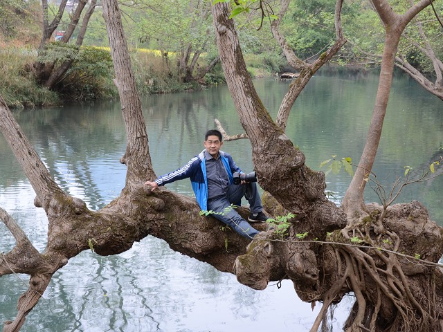 PhotoCap_563.jpg