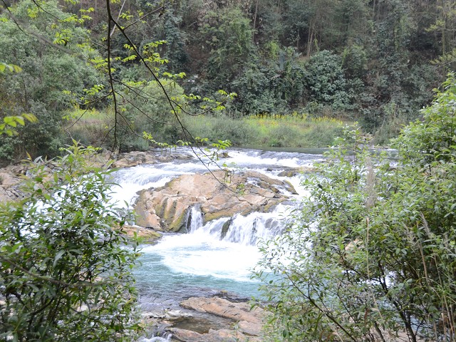 PhotoCap_580.jpg