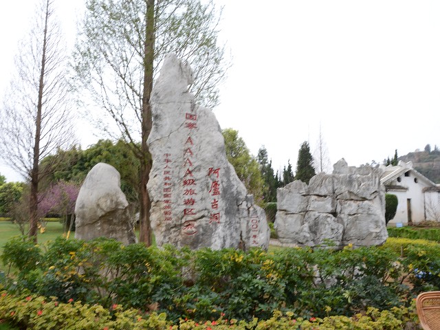 PhotoCap_001.jpg