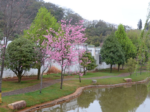 PhotoCap_007.jpg