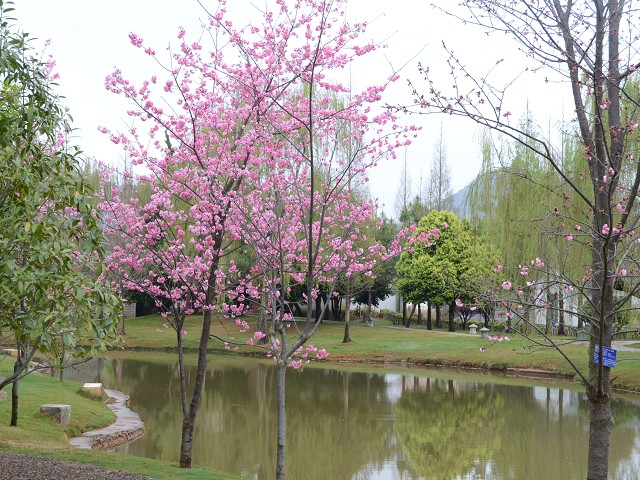 PhotoCap_008.jpg