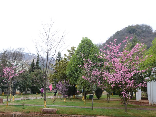 PhotoCap_034.jpg