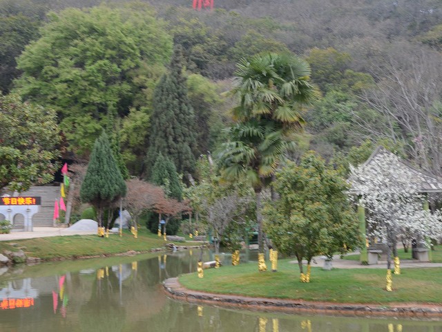 PhotoCap_009.jpg