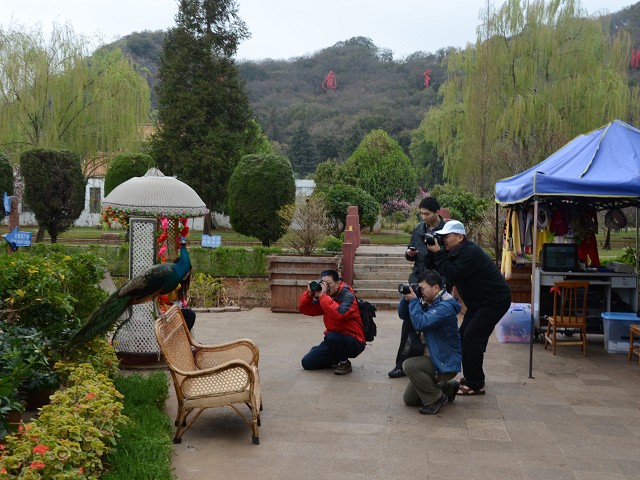 PhotoCap_044.jpg