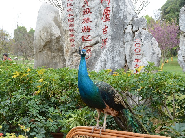 PhotoCap_047.jpg