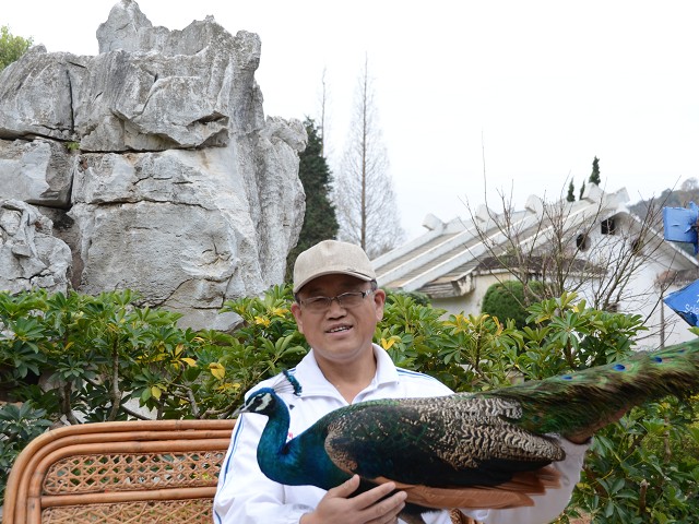PhotoCap_048.jpg
