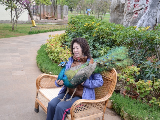 PhotoCap_052.jpg