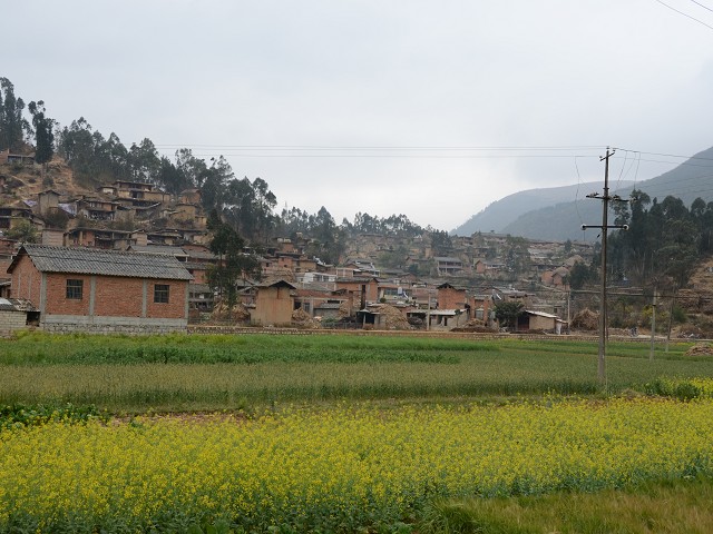 PhotoCap_075.jpg