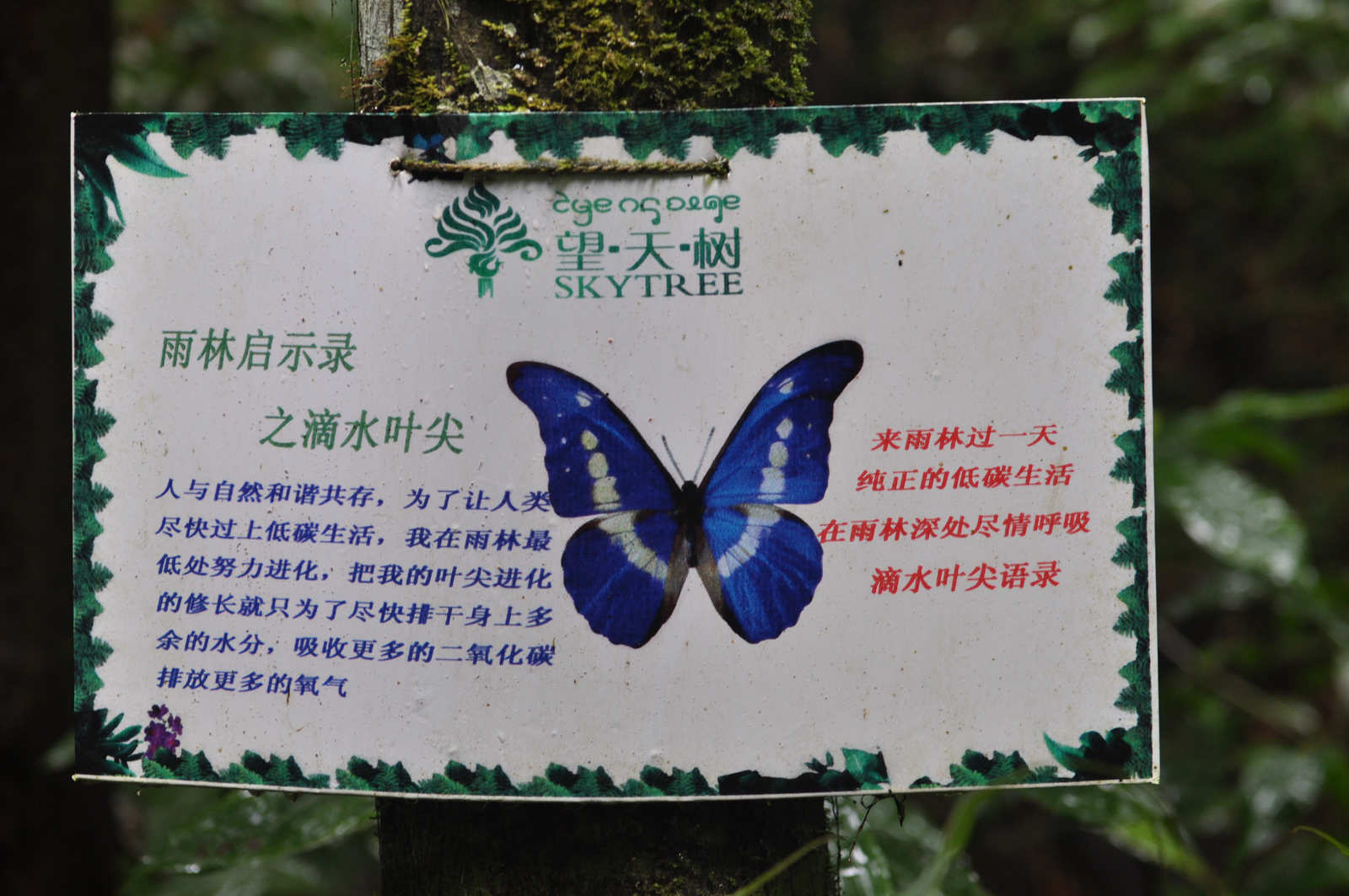 照片 508.jpg