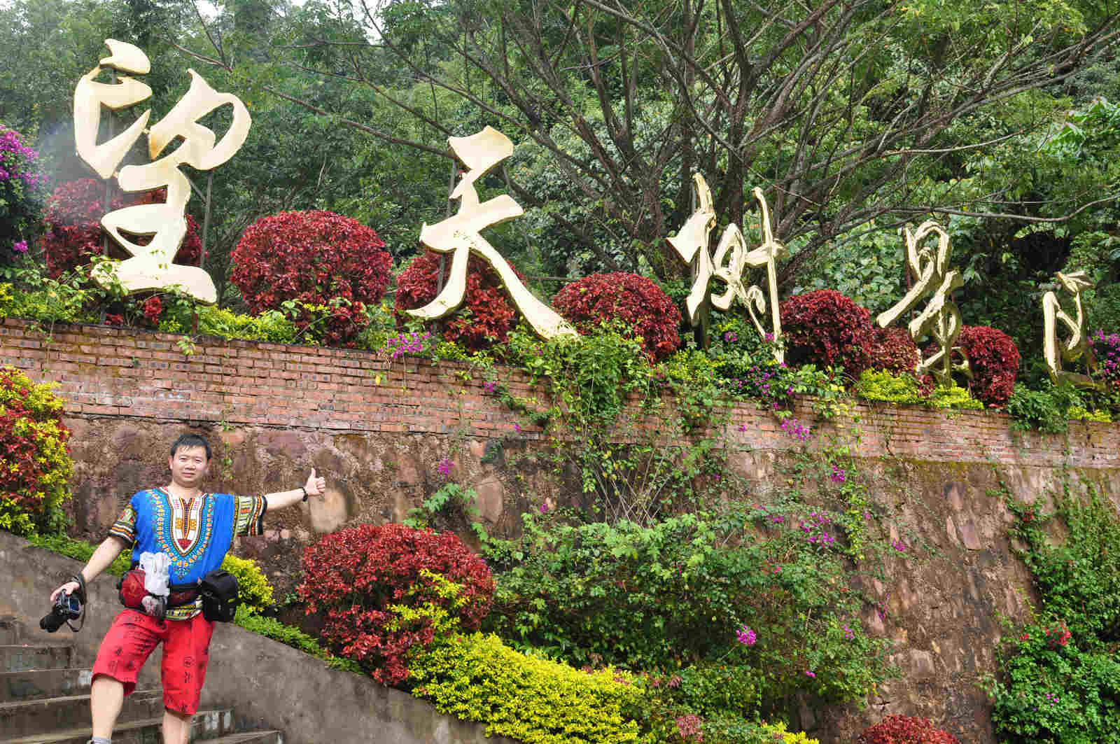 照片 539.jpg