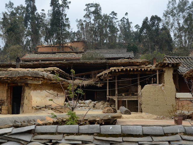 PhotoCap_116.jpg
